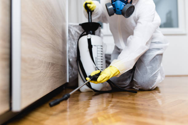 Best Pest Removal Services  in Ottumwa, IA