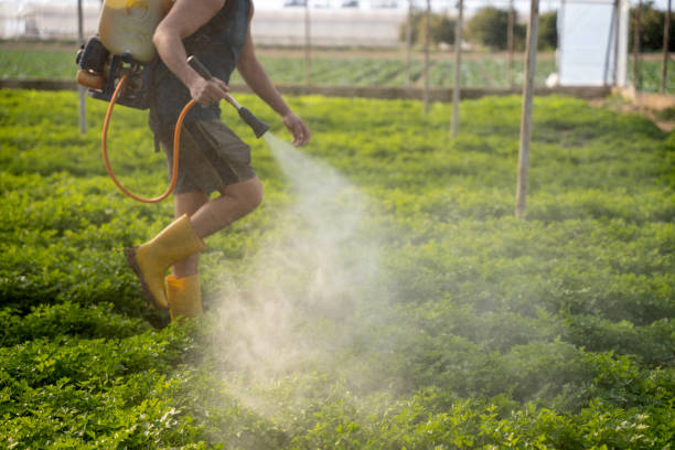 Best Residential Pest Control  in Ottumwa, IA