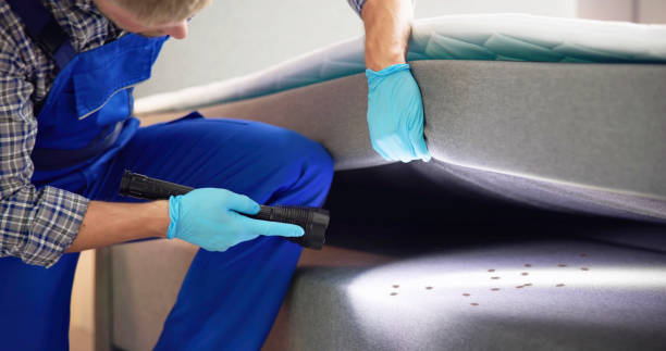 Pest Control for Restaurants in Ottumwa, IA