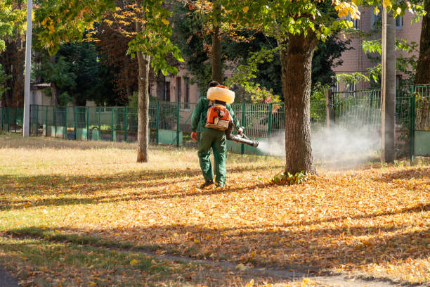 Insect Control in Ottumwa, IA