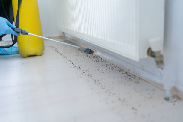 Trusted Ottumwa, IA Pest Control Experts