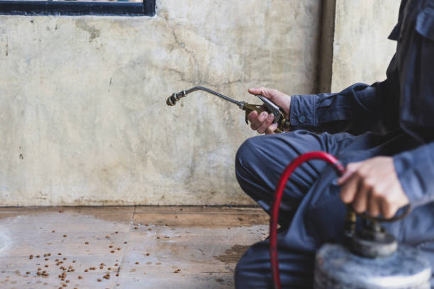 Best Termite Control Services  in Ottumwa, IA