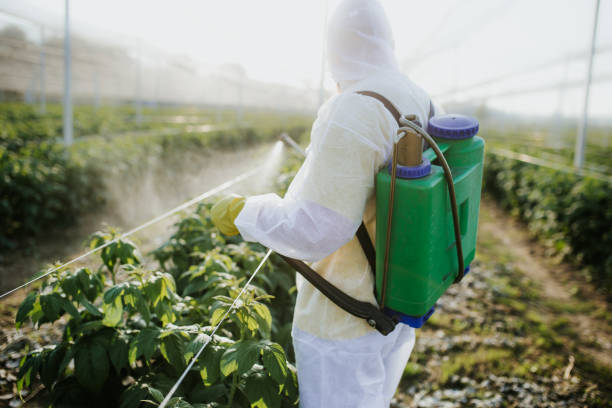 Best Emergency Pest Control  in Ottumwa, IA
